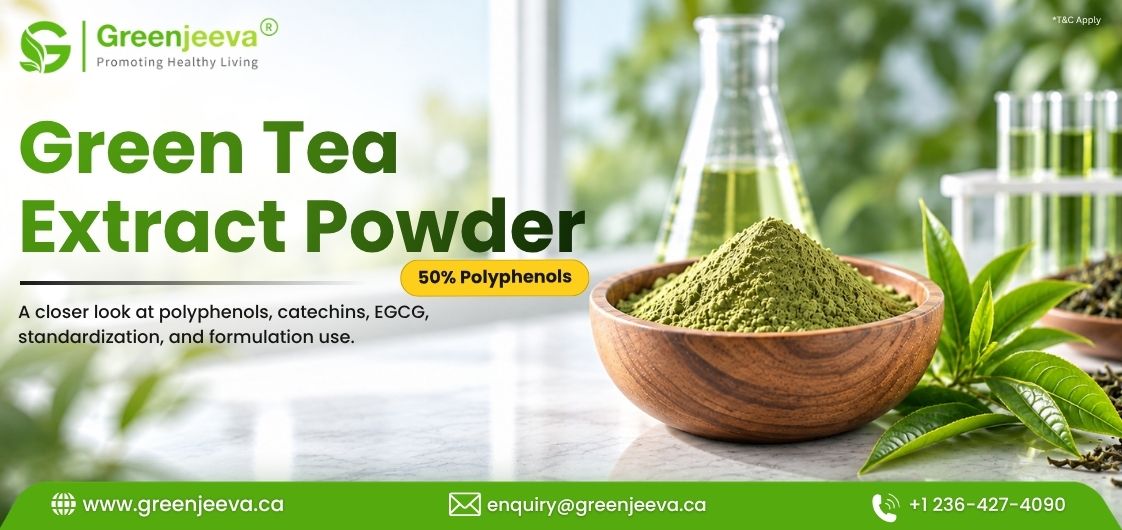 Green Tea Extract Powder 50% Polyphenols: What Formulators Should Know